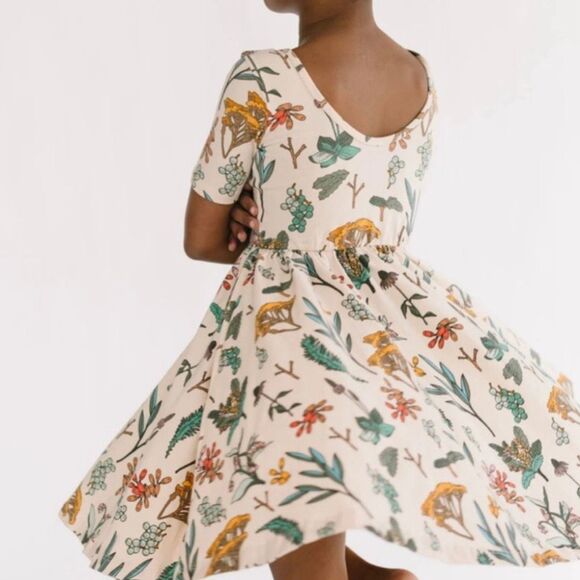 Alice & Ames Short Sleeve Ballet Dress size 6 Herbal Study - Picture 1 of 6